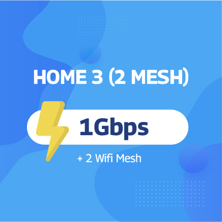 HOME 3 (2 Mesh)